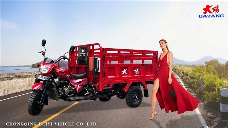 adult motorized tricycle for cargo use custom