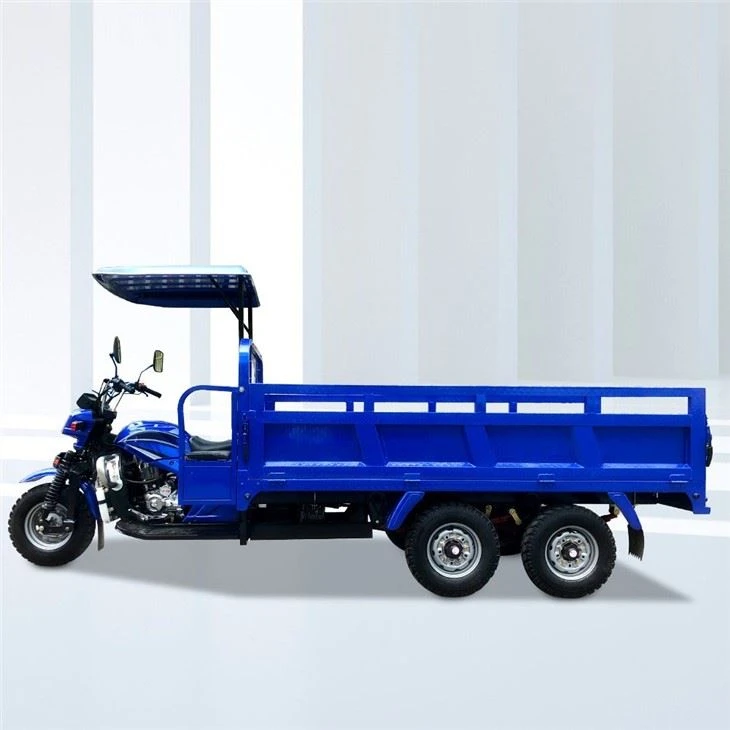 Douoble Rear Axle Household Tricycle