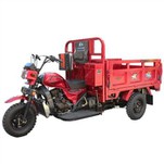 200cc Cargo Tricycle