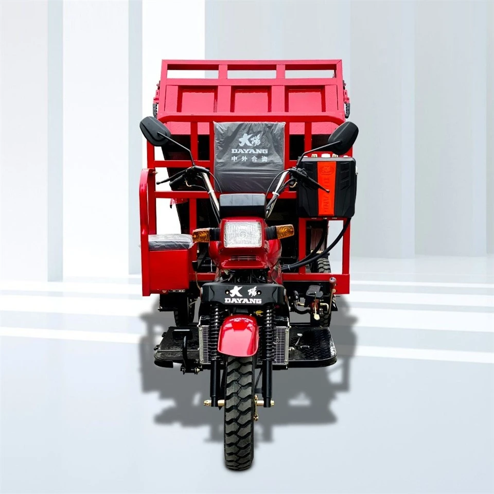 Gasoline Tricycle Motorcycle For Cargo
