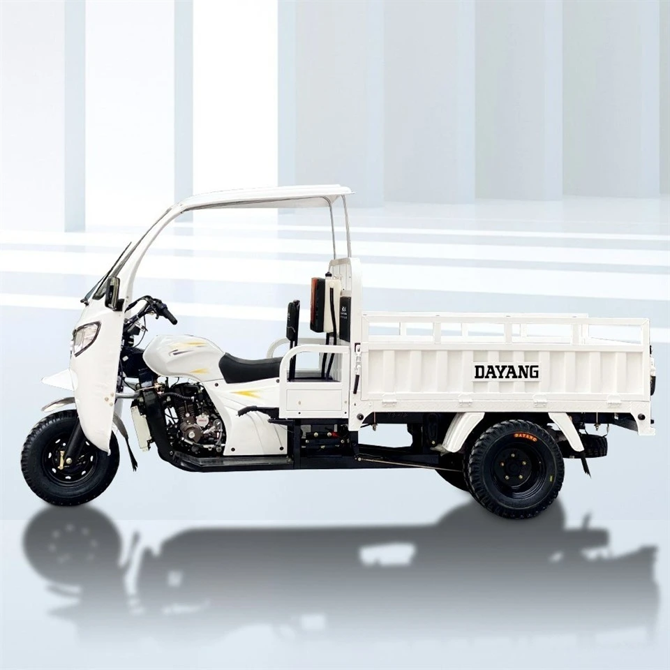 Good For Market 3wheel Motorcycle/Cargo Bike/Tricycle Parts