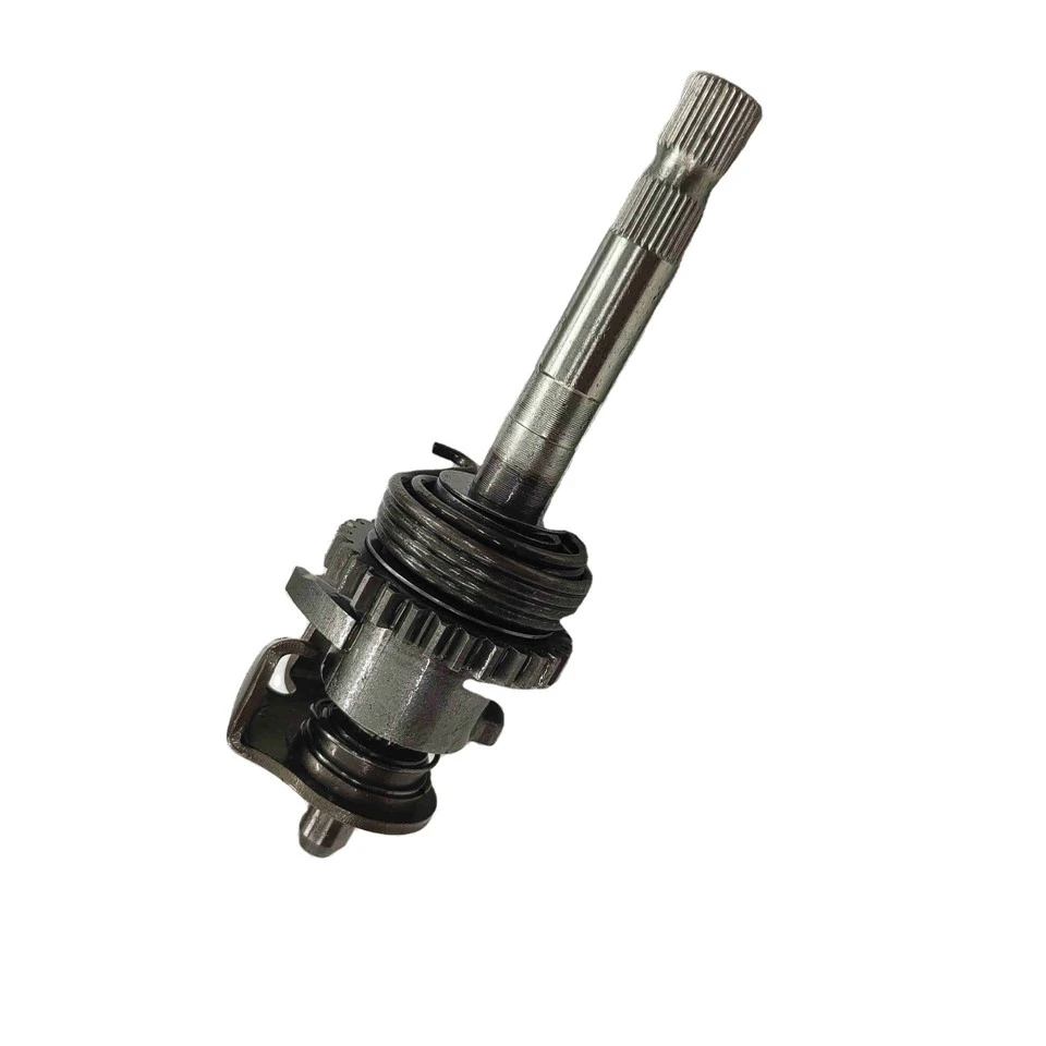 Chaw tsim tshuaj paus High Quality Motorcycle Spare Parts Kick Start Shaft With Good Quality Brand New Products DAYANG Tricycle 4 Stroke