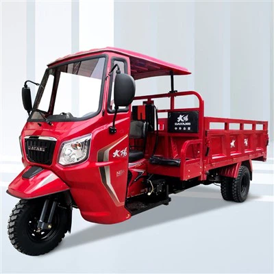 250cc 300cc 350cc Economical, Durable Customized Peb-log Motorcycle