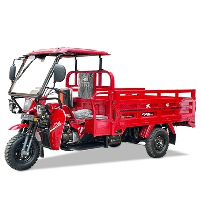 Cargo Tricycle Maus taus roj roj roj lub tsheb loj tsav tsheb