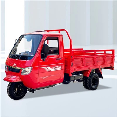 Threewheeled Maus taus / Cargo Tricycle CCC Certificate Trike Gas Scooters Rau Cov Neeg Laus Tuctuc